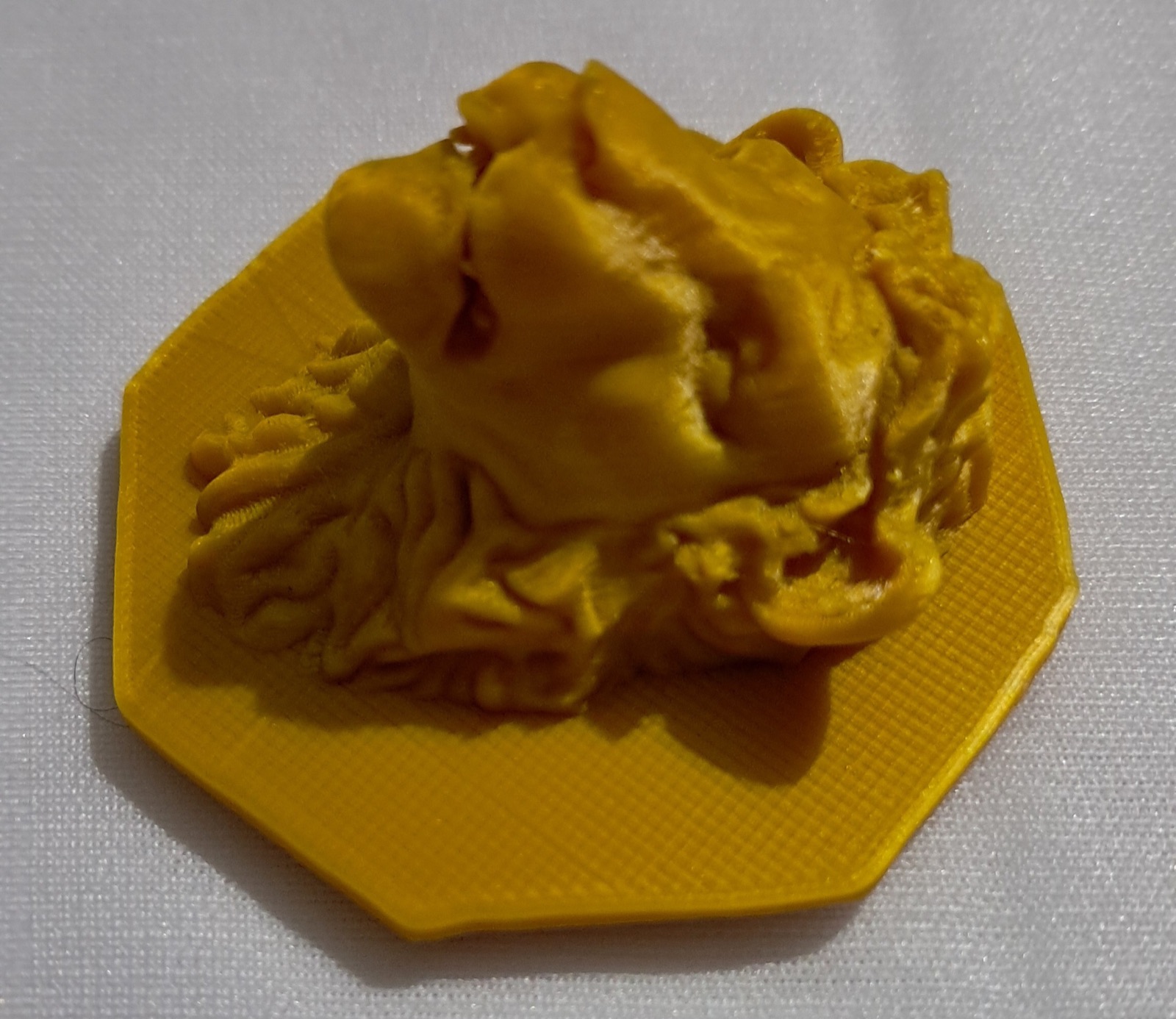A 3D-printed decorative lion face relief.
